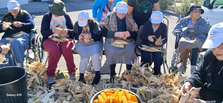 Desfolhada_Lar_Misericordia_out2025_II